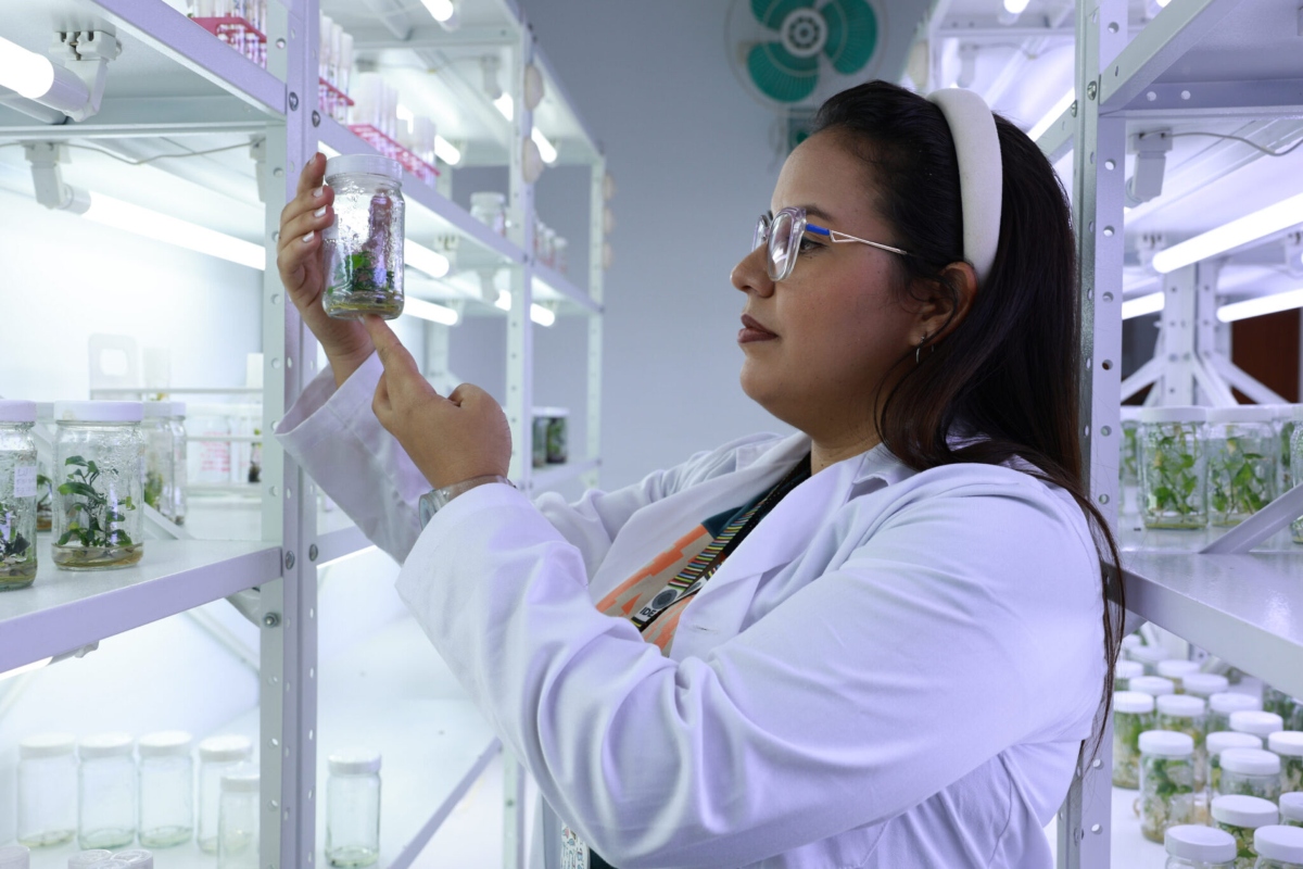 Registro de investigadores en Venezuela supera los 70 mil científicos