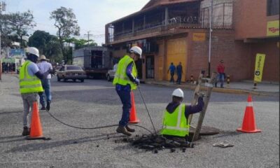 fibra