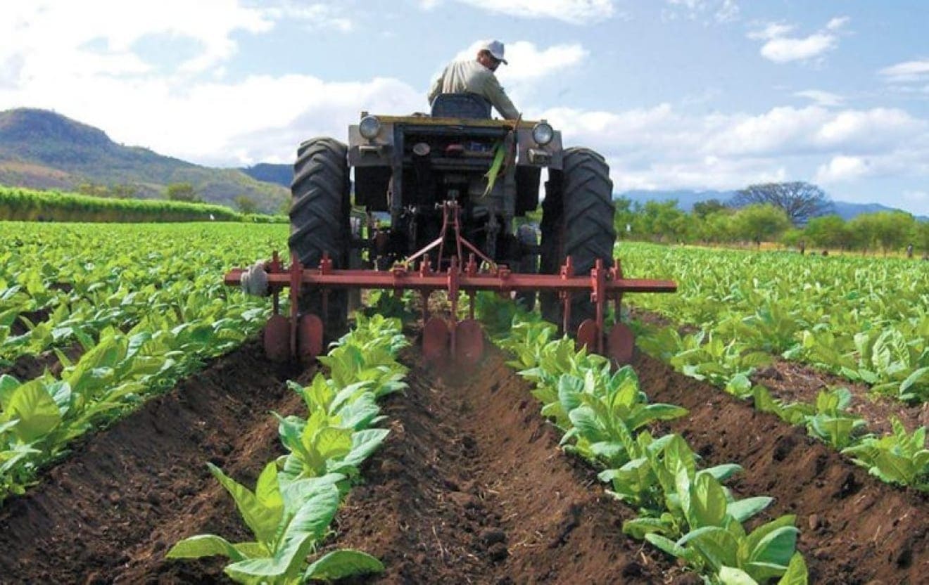 agroalimentario