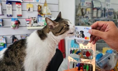 El Banco del Tesoro lanza nueva Master Debit Amigos de las Mascotas