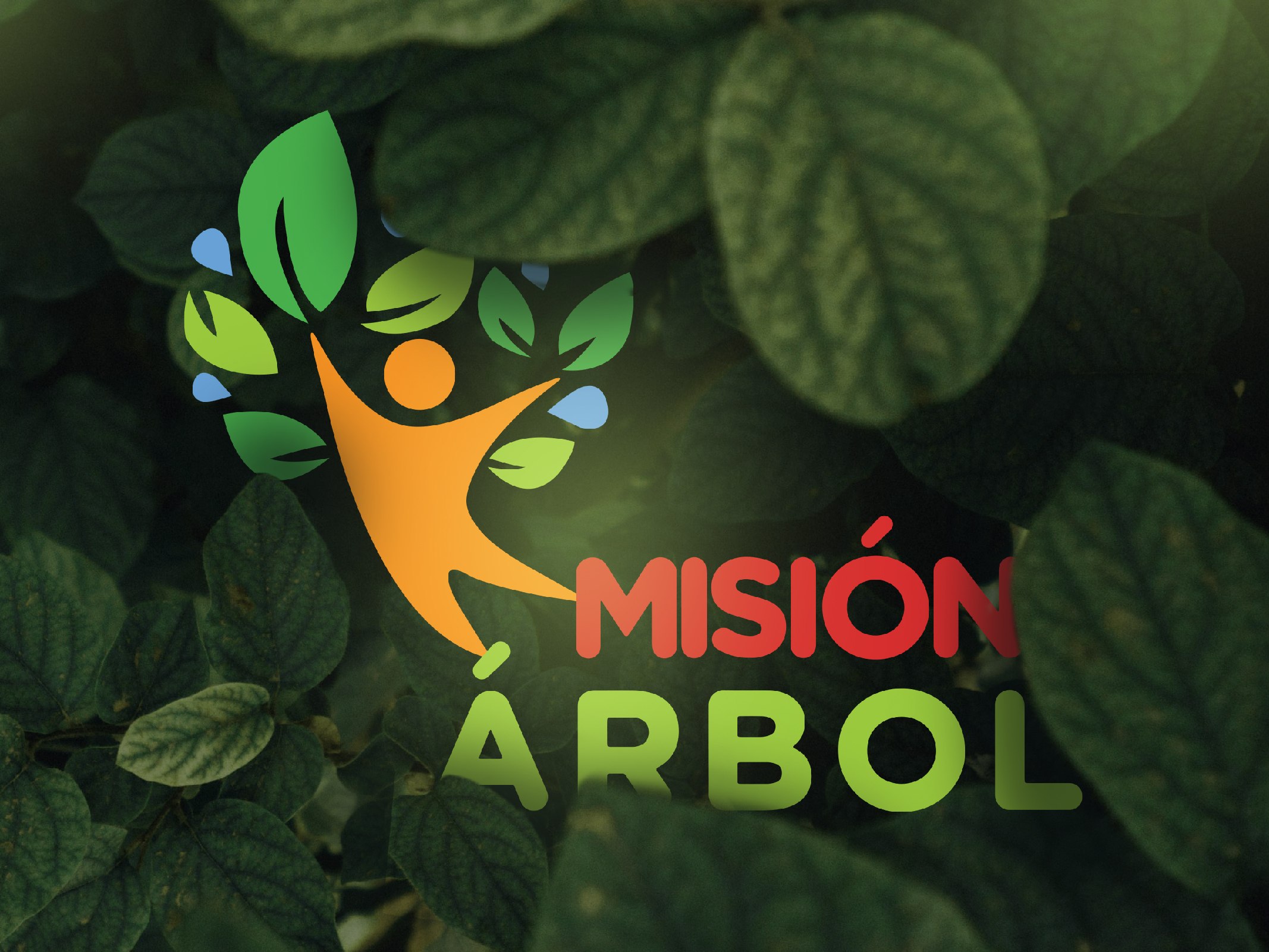 Misión Árbol