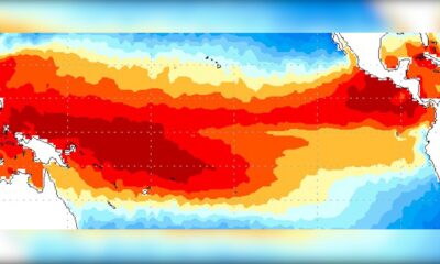 Hay 80% de probabilidad de que "El Niño" haga estragos de nuevo