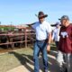 AN impulsará reforma de la ley de Protección Ganadera