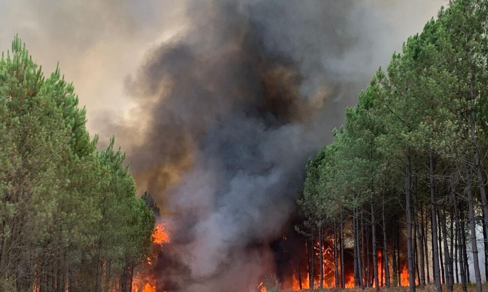 Imparables los incendios en mayor reserva forestal de Francia