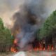 Imparables los incendios en mayor reserva forestal de Francia