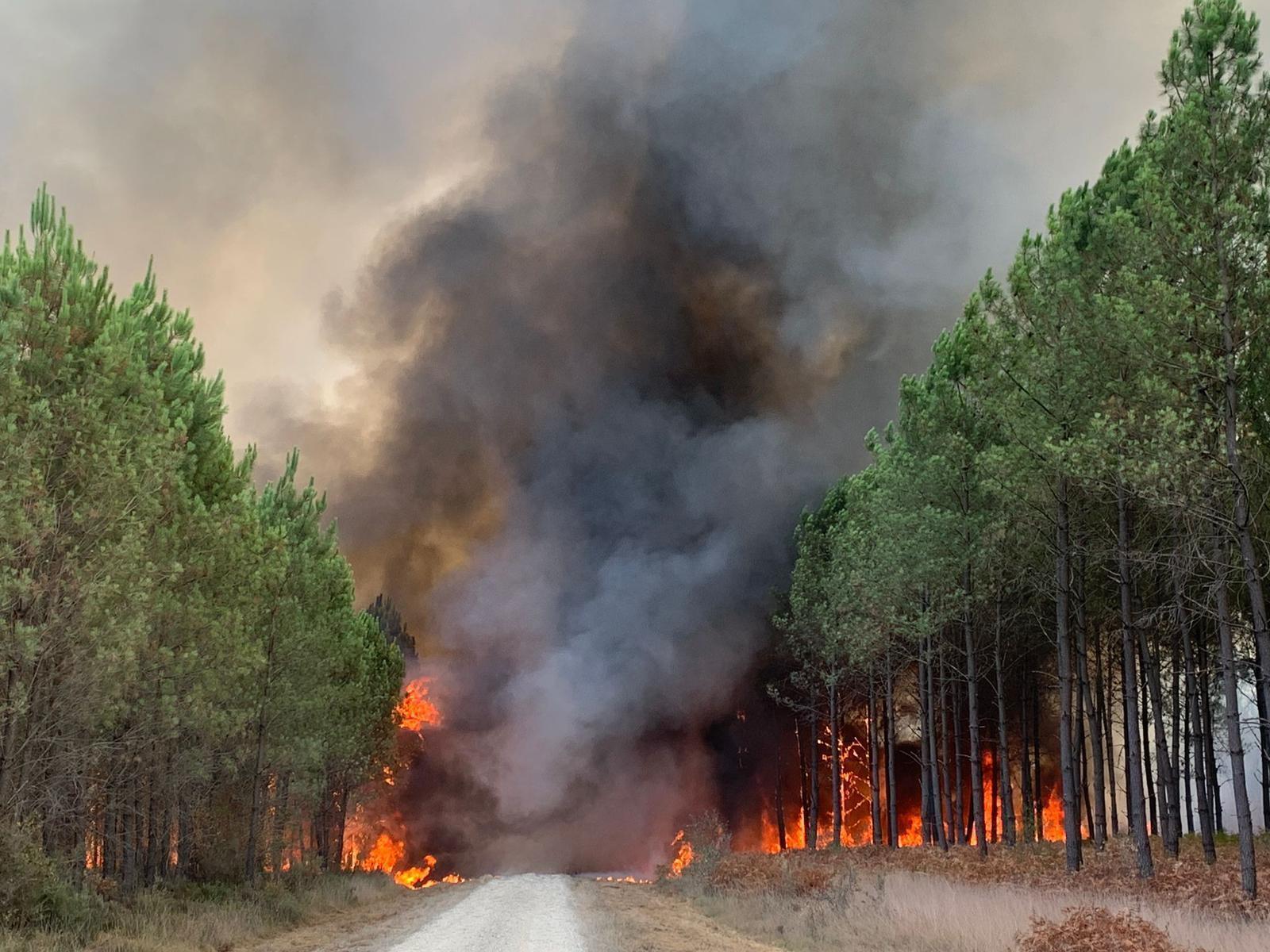 Imparables los incendios en mayor reserva forestal de Francia