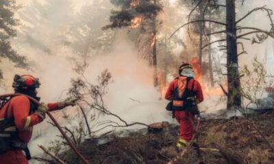 España declara la emergencia nacional por voraces incendios en Madrid y Ávila