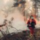 España declara la emergencia nacional por voraces incendios en Madrid y Ávila
