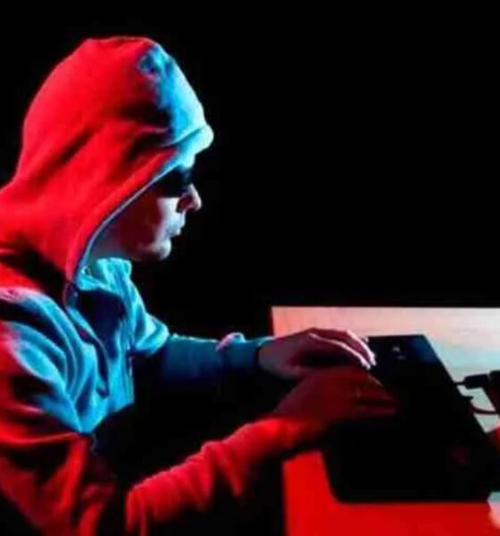 Suben en Alemania delitos vinculados con pornografía infantil