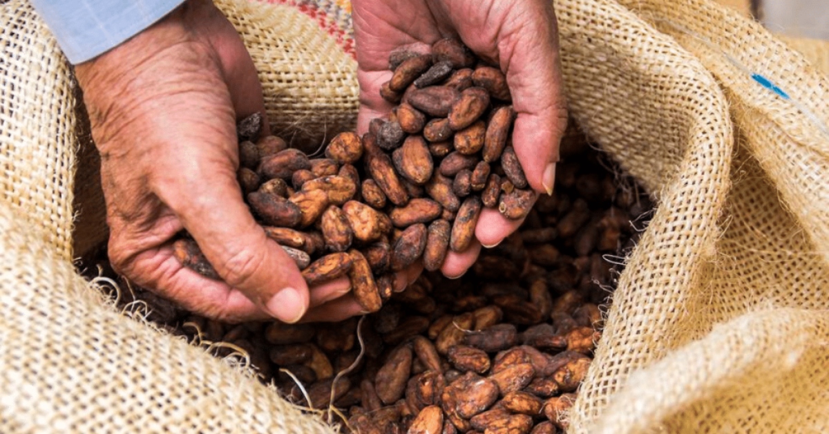 Fedeagro vaticina producción récord de café este año