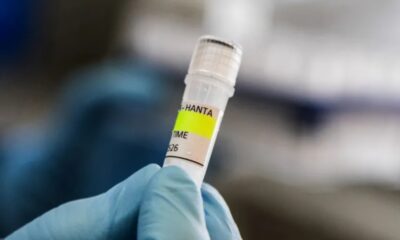 Chile declara alerta sanitaria por hantavirus