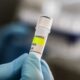 Chile declara alerta sanitaria por hantavirus