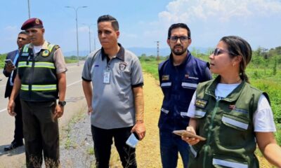 Inician investigación por maltrato a un oso melero en Anzoátegui