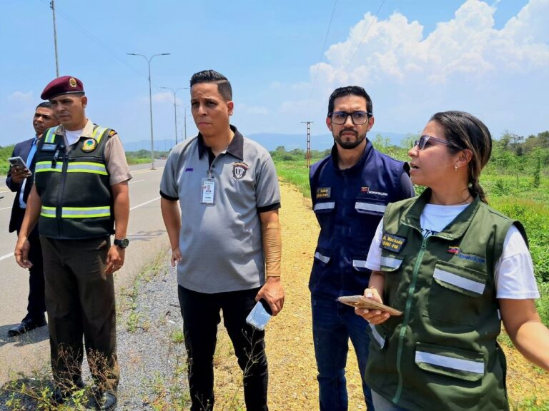 Inician investigación por maltrato a un oso melero en Anzoátegui