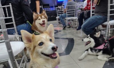 Presidente de Cavececo enciende debate sobre presencia de mascotas en Centros Comerciales
