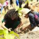 100 árboles en el Waraira Repano en homenaje a Fidel