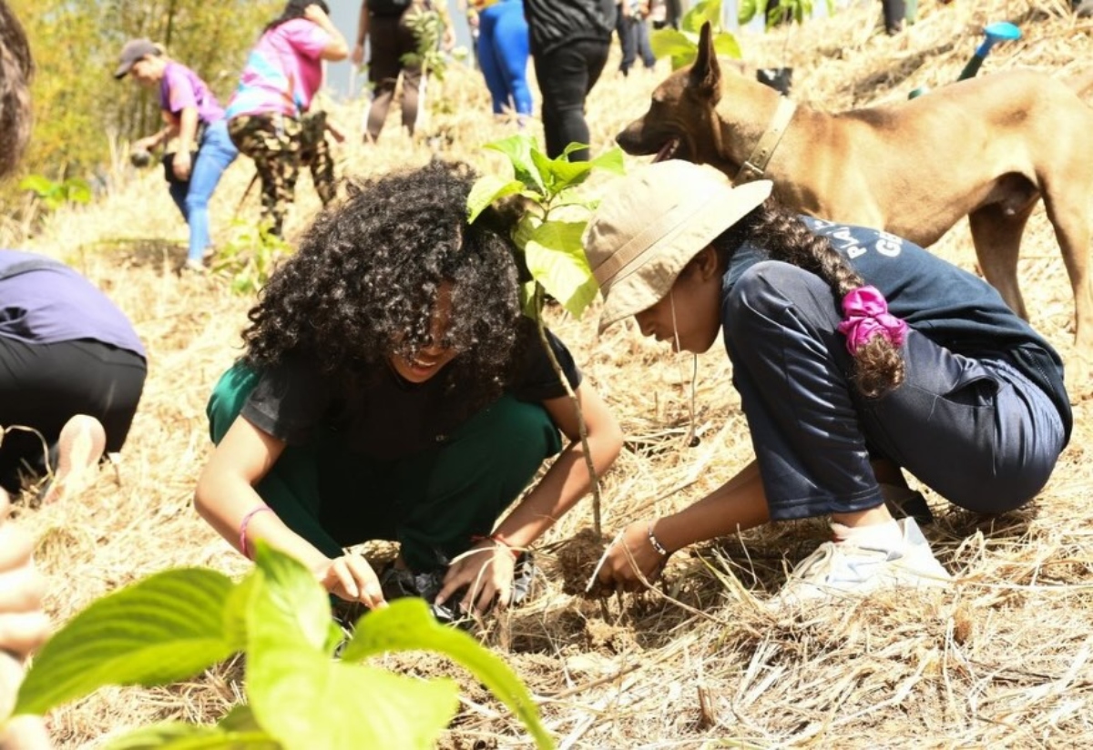 100 árboles en el Waraira Repano en homenaje a Fidel