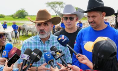 Apure alcanza primer lugar en inmunización contra la fiebre aftosa