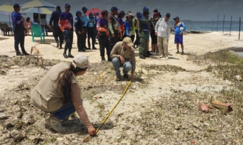 Funvisis estudia grietas y desplazamientos tras los terremotos
