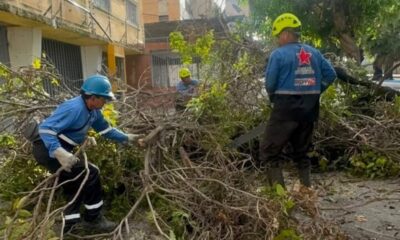 Alcaldía de Caracas se mantiene desplegada para atender afectaciones por lluvias