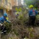 Alcaldía de Caracas se mantiene desplegada para atender afectaciones por lluvias