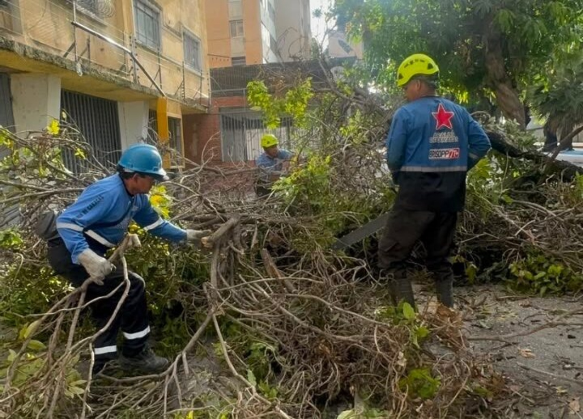 Alcaldía de Caracas se mantiene desplegada para atender afectaciones por lluvias