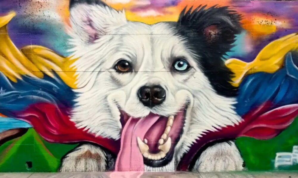 Vandalizado nuevamente mural en honor a Tsunami