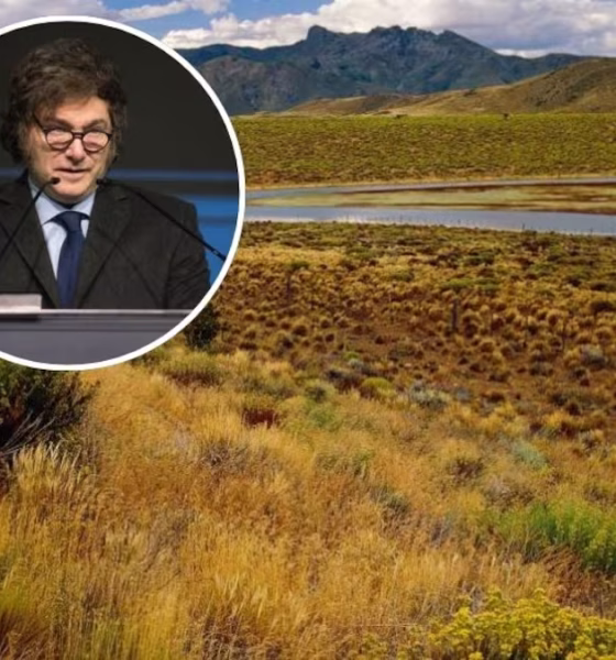 Corte Suprema de Argentina elimina límites a venta de tierras a extrajeros