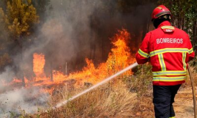 Más de 800 bomberos combaten dos incendios en el centro de Portugal