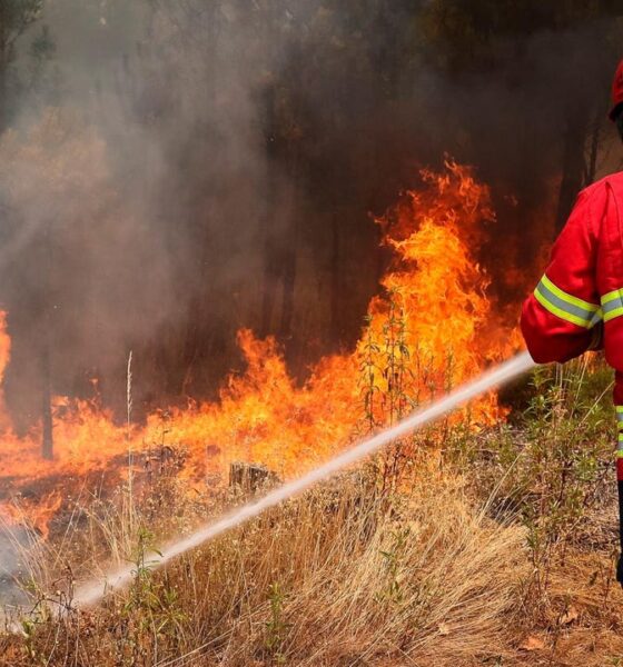 Más de 800 bomberos combaten dos incendios en el centro de Portugal