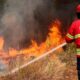 Más de 800 bomberos combaten dos incendios en el centro de Portugal