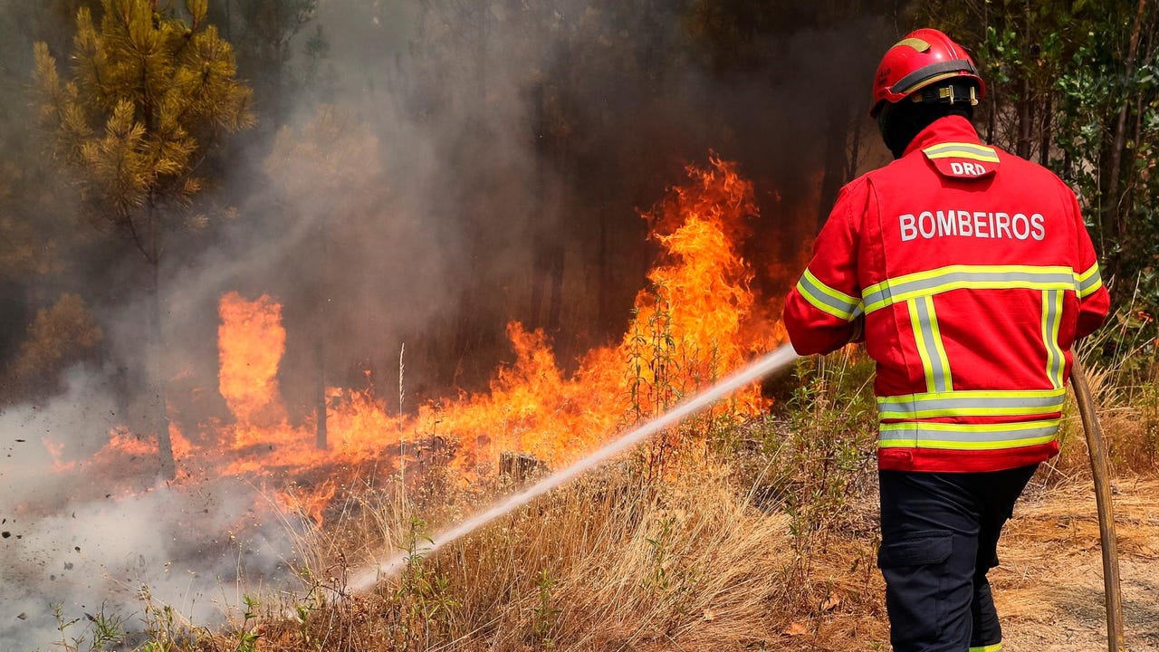 Más de 800 bomberos combaten dos incendios en el centro de Portugal