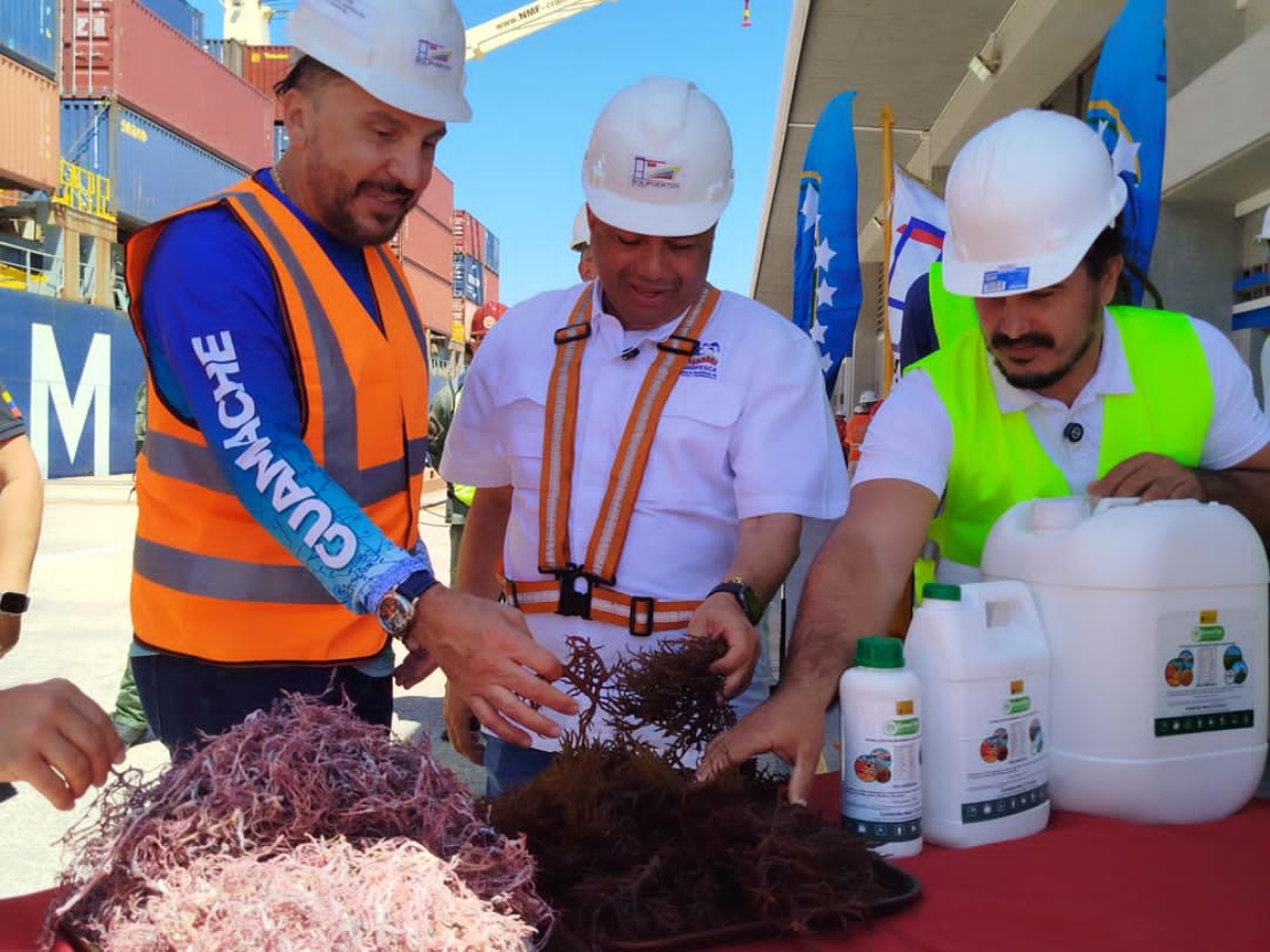 Venezuela exporta más de 147.000 toneladas de algas hacia Asia y Suramerica