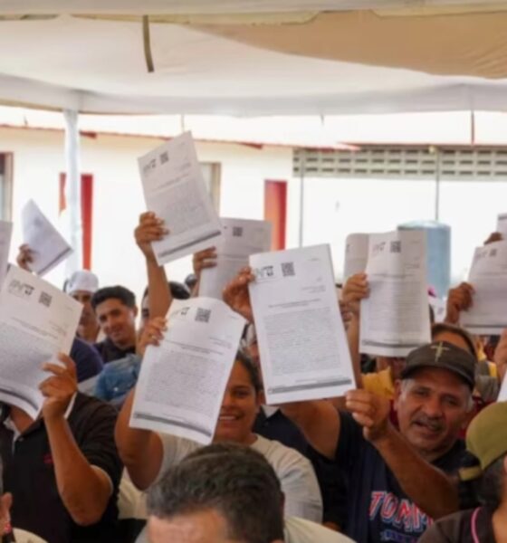 Producción porcina garantiza demanda decembrina con crecimiento sostenido