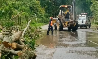 Fuertes vientos huracanados causan daños en varios municipios de Táchira