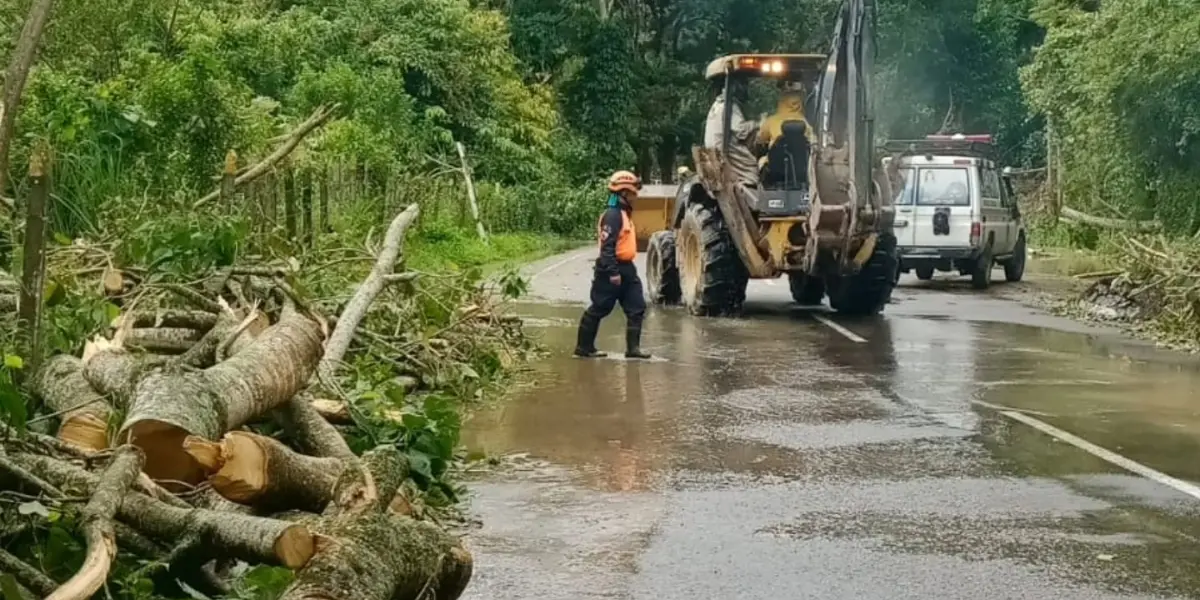 Fuertes vientos huracanados causan daños en varios municipios de Táchira
