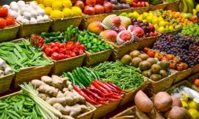 FAO: precios mundiales de alimentos registra un alza de 1,9%