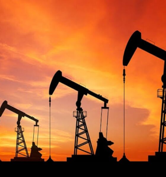 Petrolera Nabep operará en 17 pozos en Zulia y en la Faja del Orinoco