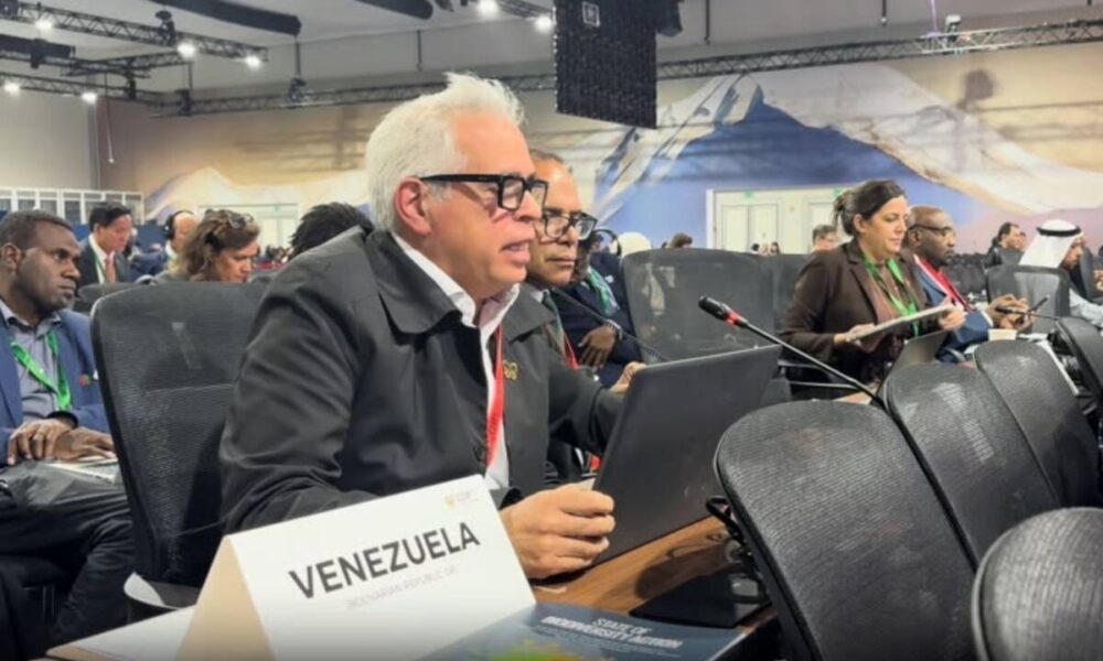 COP17: Venezuela insta a frenar mercantilización del ambiente