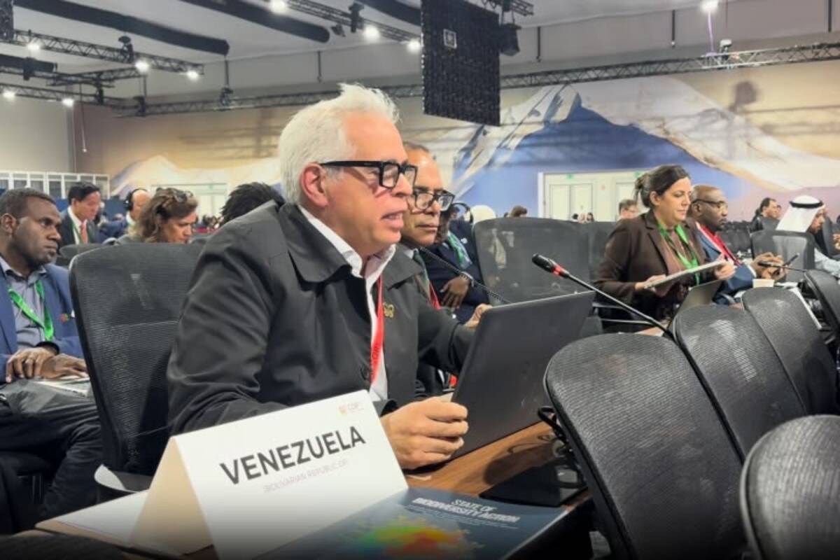 COP17: Venezuela insta a frenar mercantilización del ambiente
