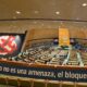 Asamblea General de la ONU debate resolución contra bloqueo a Cuba