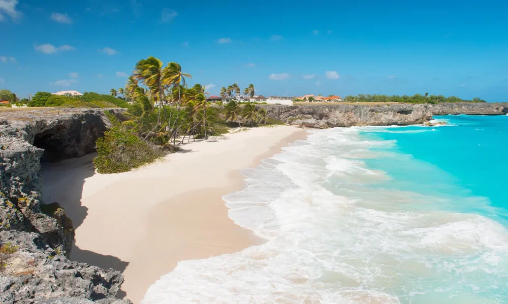 Gobernación de Miranda impulsa dinamización de economíaa en las rutas de Barlovento