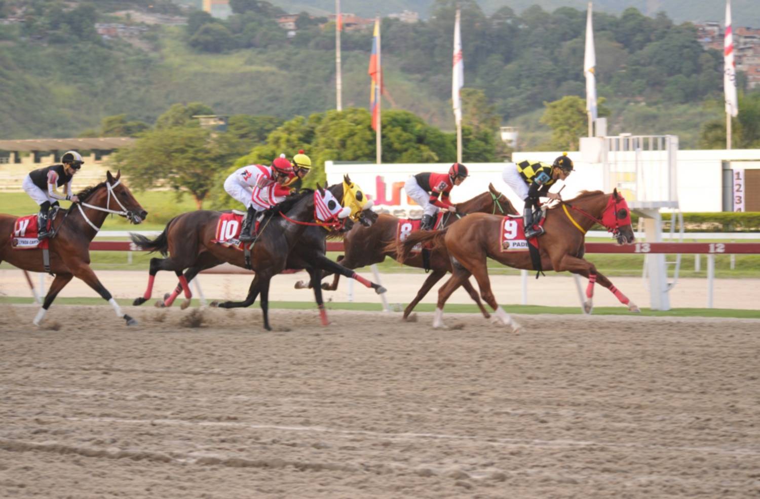 Hipódromo de la Rinconada se prepara para recibir Clásico Simón Bolívar