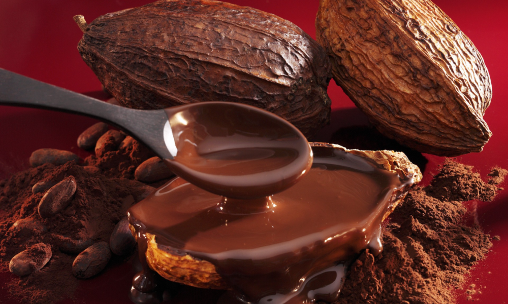 Delcy Rodríguez destaca la labor de los cacaocultores en Día Nacional del Cacao