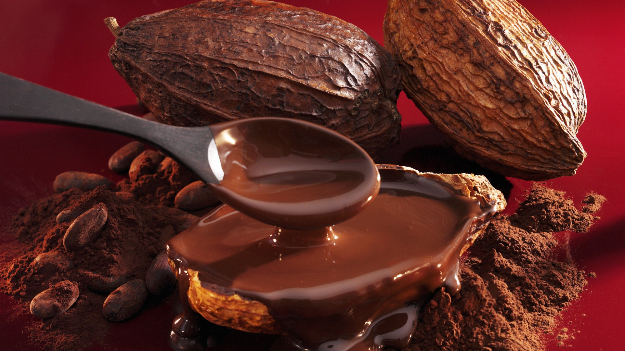 Delcy Rodríguez destaca la labor de los cacaocultores en Día Nacional del Cacao