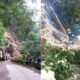 Carretera Maracay-Choroní permanece cerrada tras fuertes lluvias
