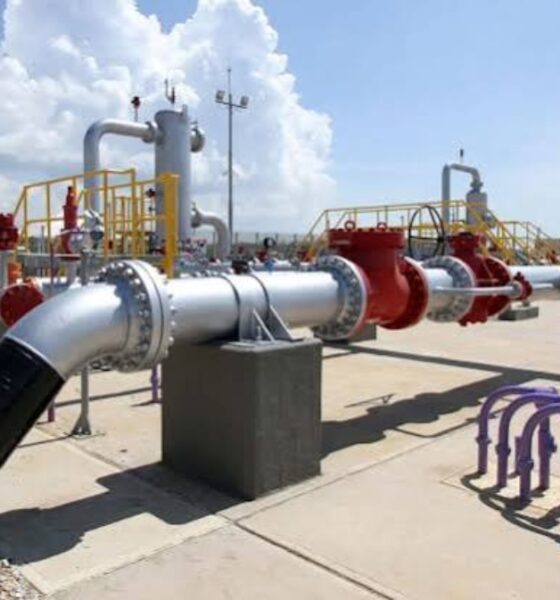 Naturgas pide reactivar interconexión gasífera entre con Venezuela y Colombia