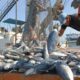 Venezuela presente en la 27ª Feria Conxemar en España