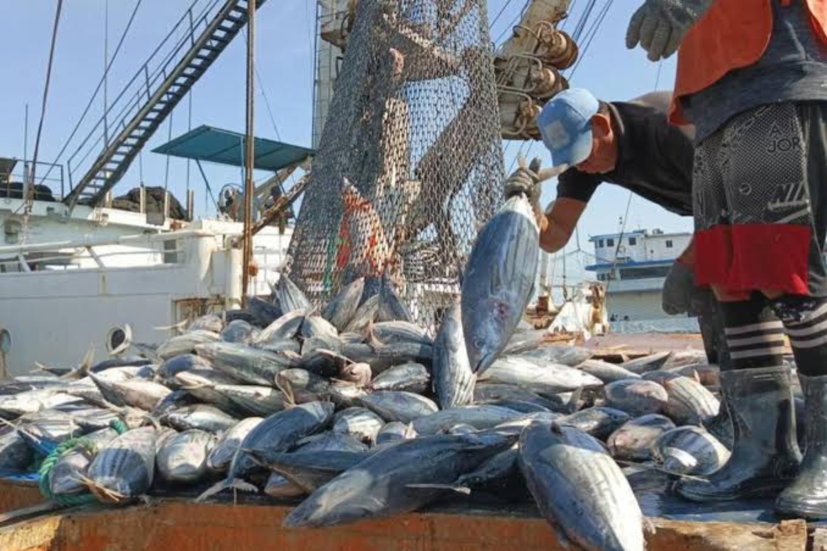 Venezuela presente en la 27ª Feria Conxemar en España
