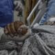 La OMS denuncia que ningún hospital en Gaza funciona plenamente